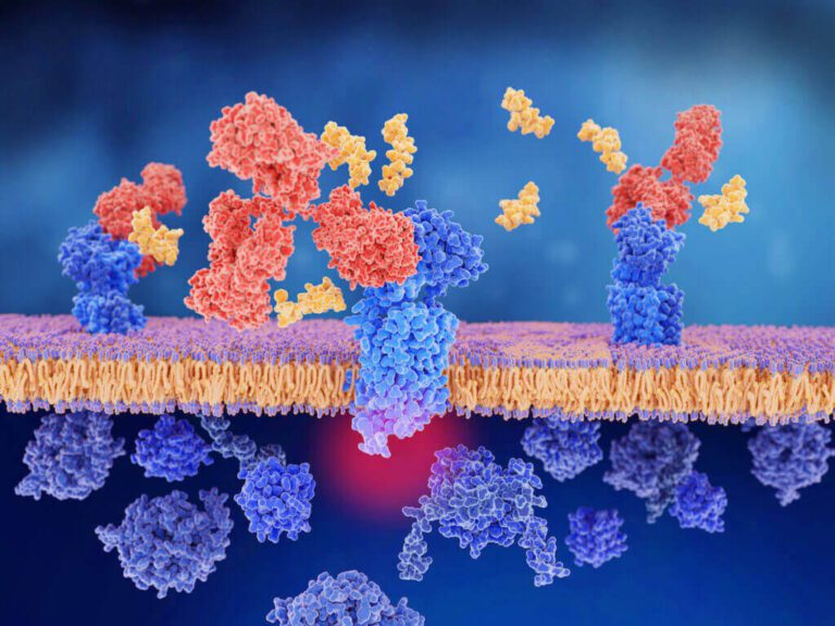 CGRP medications