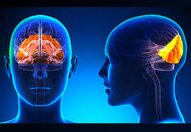 chronic-migraines-causes
